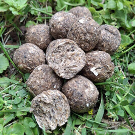 „Finest Bird Berry Standard“ Boilie