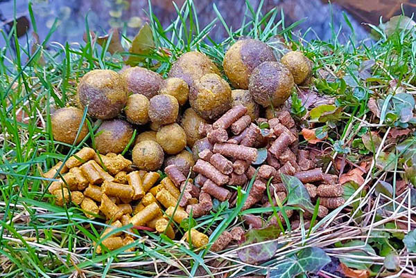 LuckyThai 2024 600×402